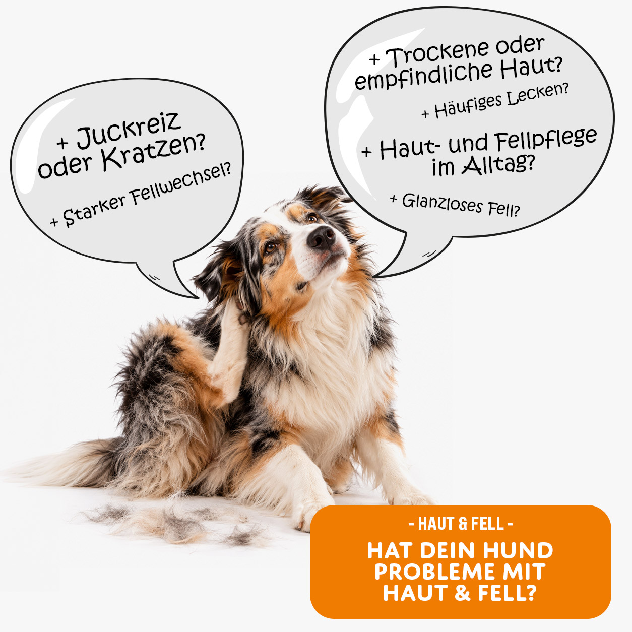 MOGOGO Haut & Fell – Bild 2
