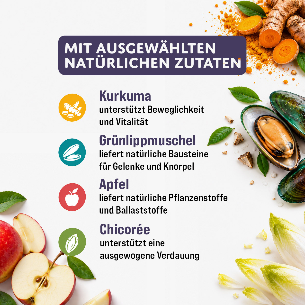 MOGOGO Hip & Joint Boost – Bild 3