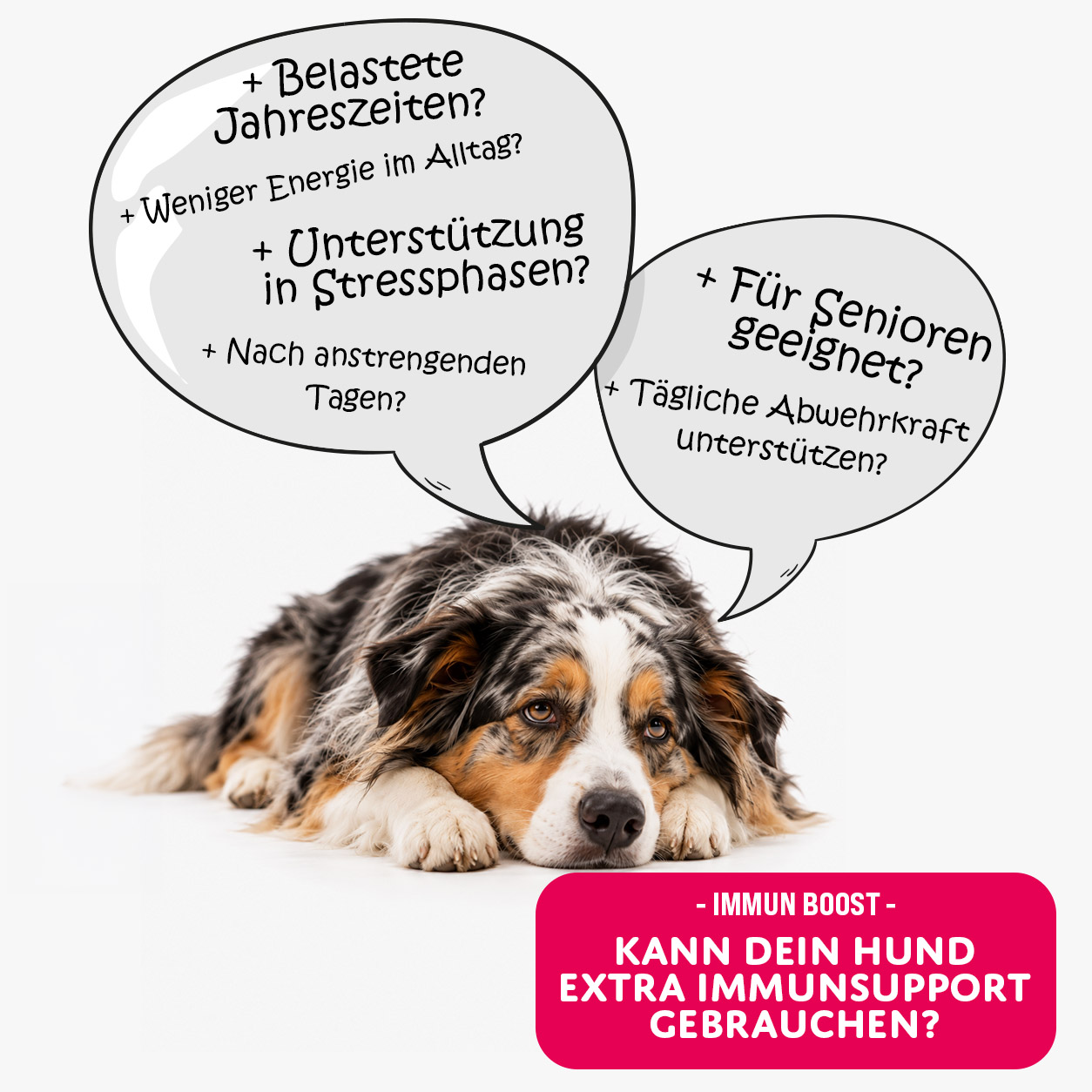 MOGOGO Immun Boost – Bild 2