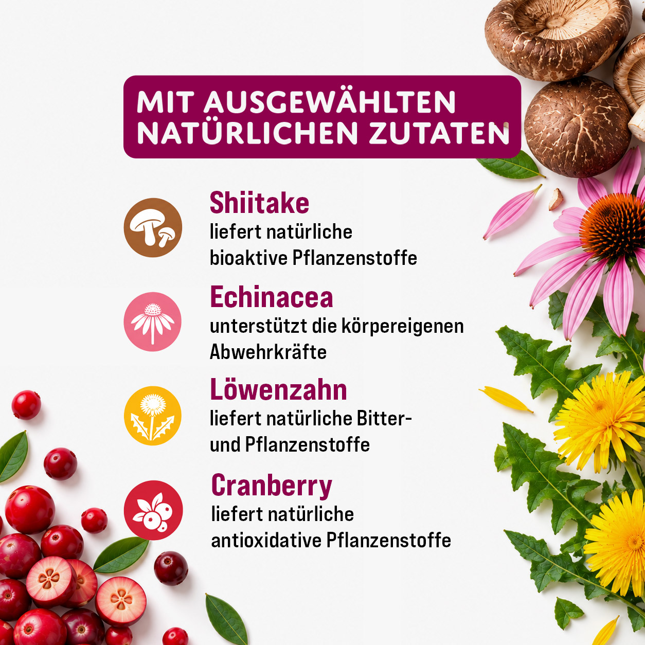 MOGOGO Immun Boost – Bild 3