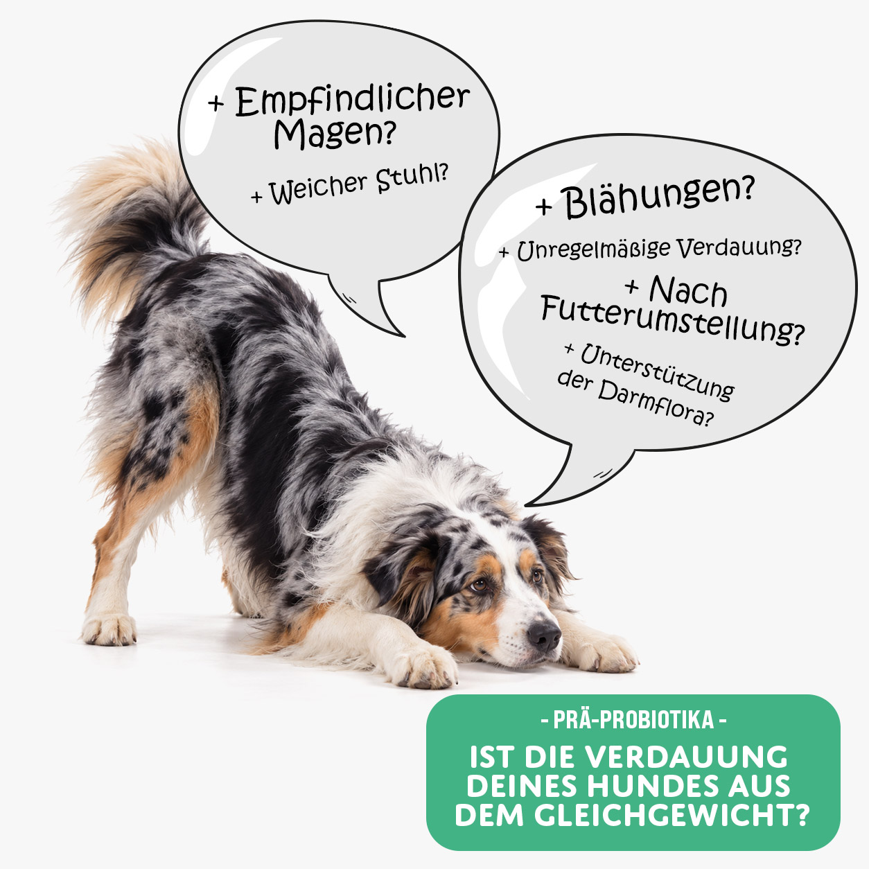 MOGOGO Prä-Probiotika – Bild 2
