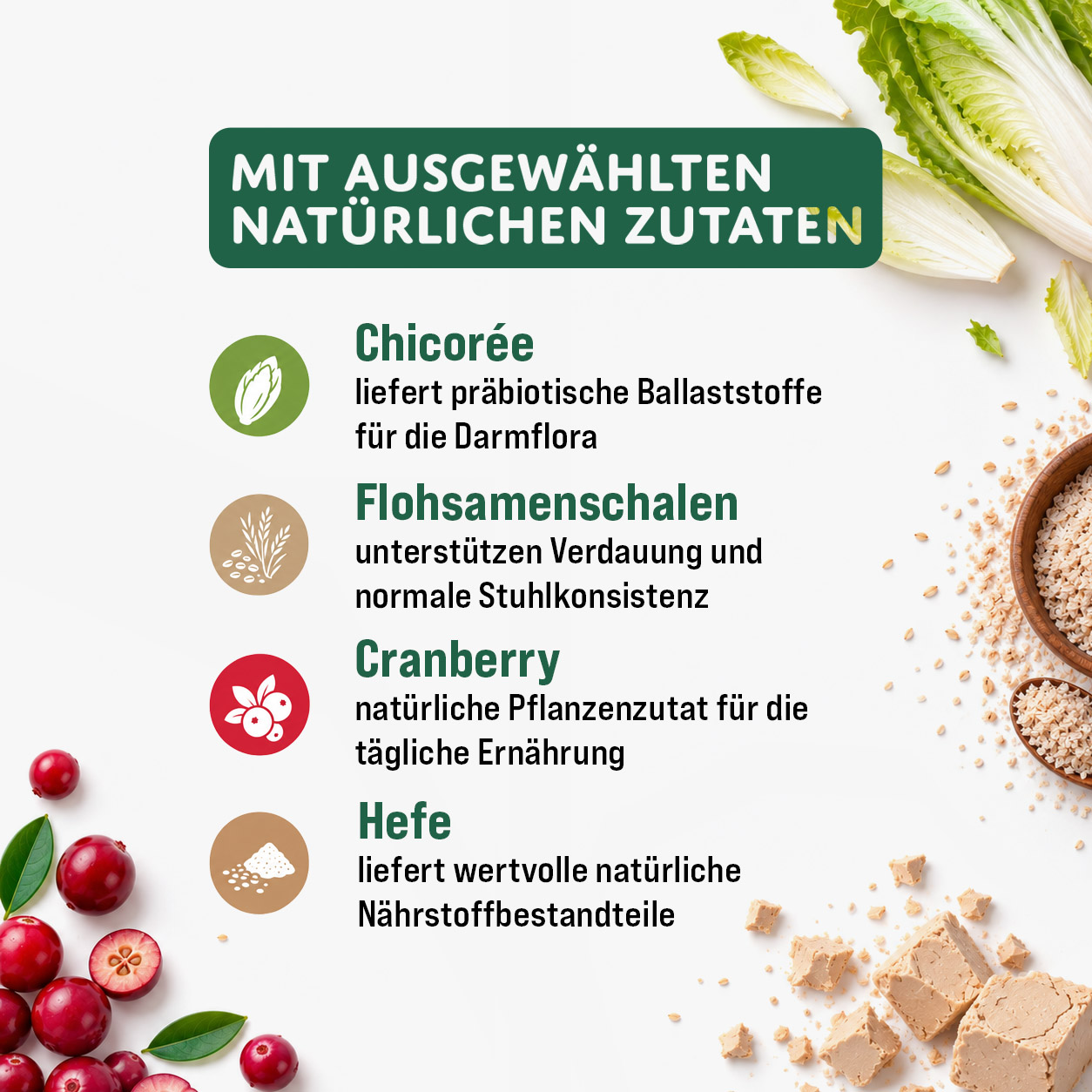 MOGOGO Prä-Probiotika – Bild 3