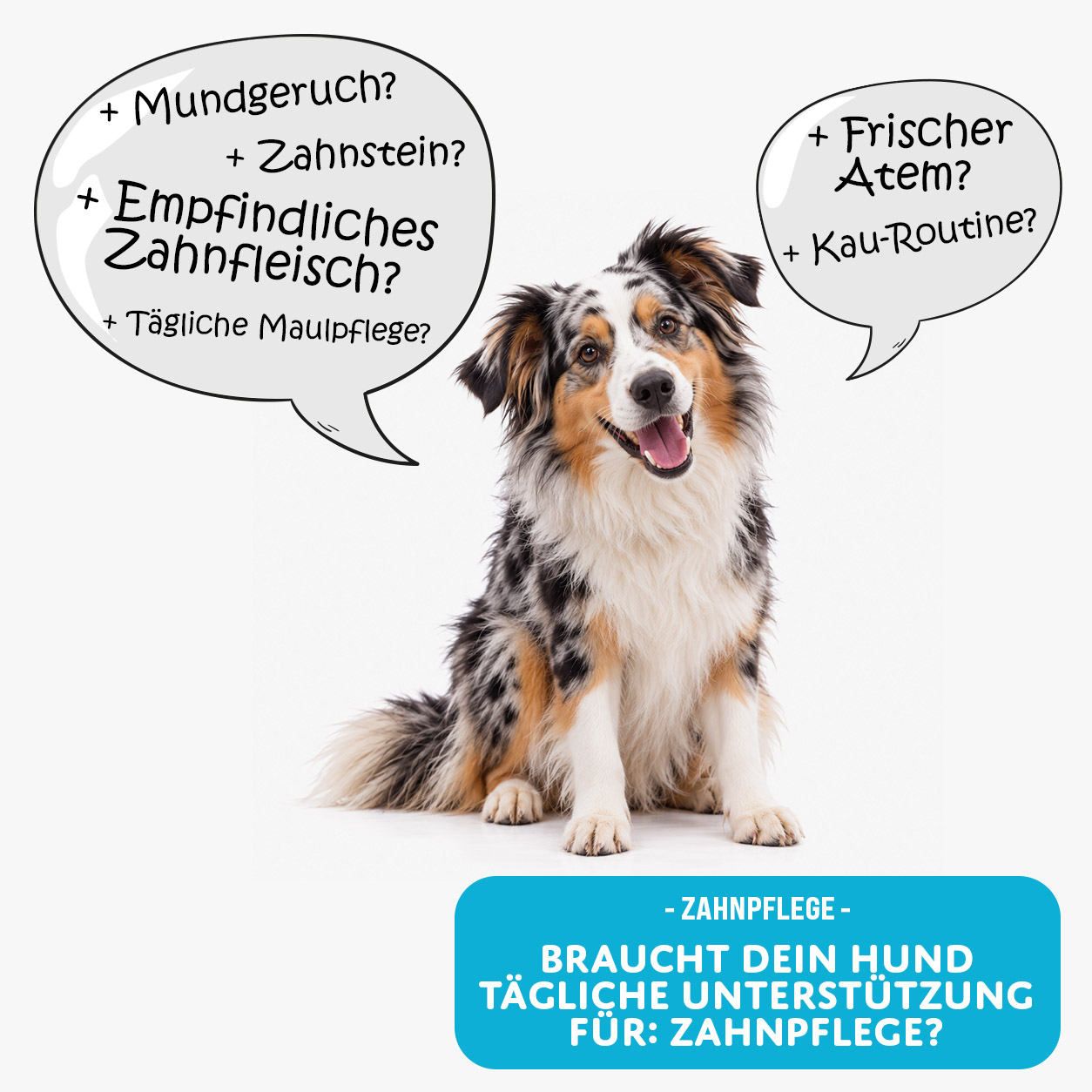 MOGOGO Zahnpflege – Bild 2