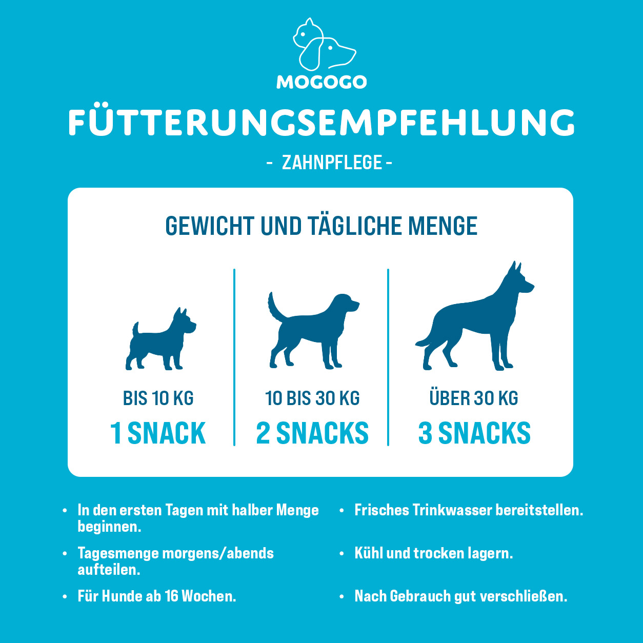 MOGOGO Zahnpflege – Bild 5