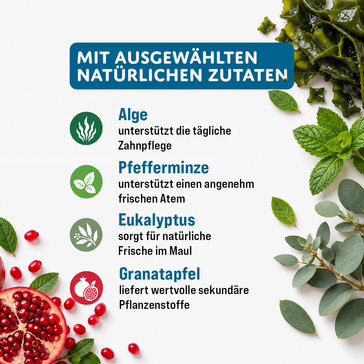 MOGOGO Zahnpflege – Bild 3